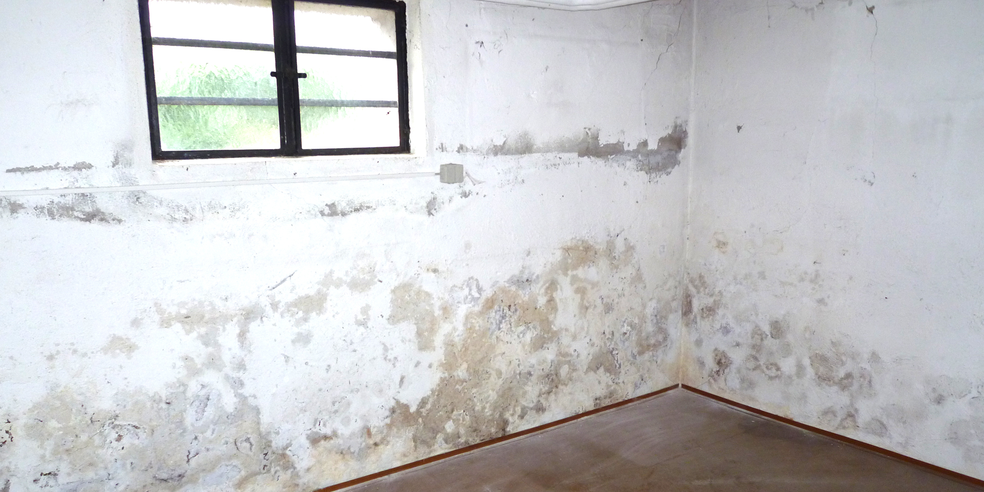 Feuchte Wände: Ursachen erkennen systematisch sanieren | Epasit